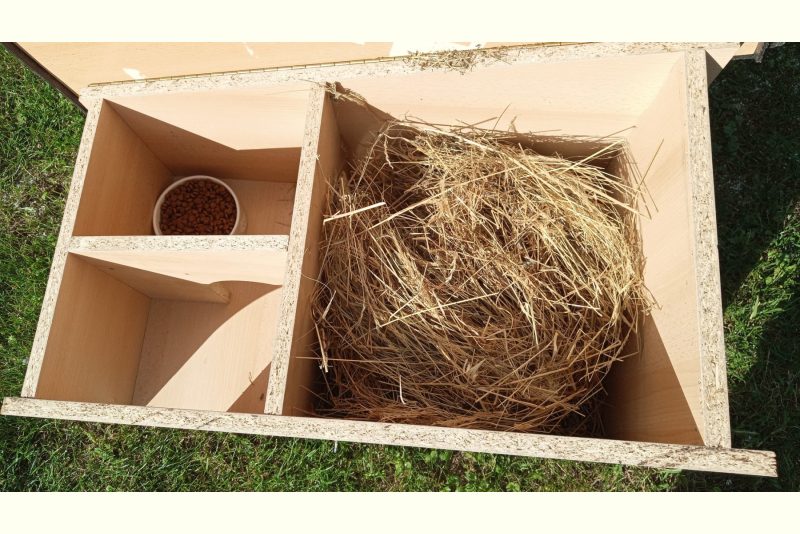 Domek pro ježky - zádveří, žrádelna, ubytovna Domek pro ježky - zádveří, žrádelna, ubytovna